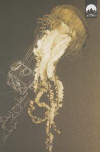 سطوح زندگی