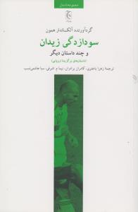 سودازدگی زیدان و چند داستان دیگر