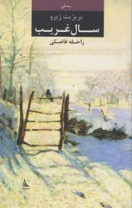 سال غریب
