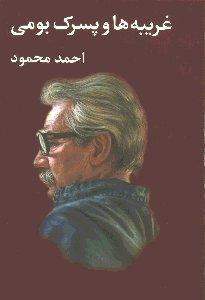 غریبه‌ها و پسرک بومی