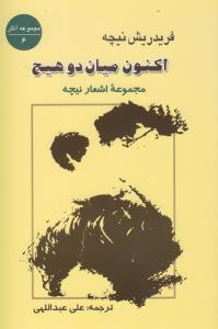 اکنون میان دو هیچ: مجموعه‌ی اشعار نیچه