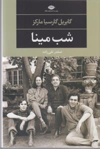 شب مینا