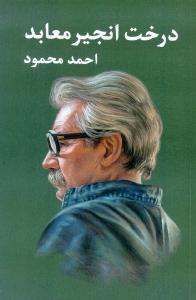 درخت انجیر معابد (2 جلدی)