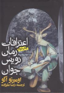 اعترافات یک رمان نویس جوان