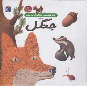 دایره‌المعارف کوچک من 11: درباره‌ی جنگل