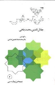 گزیده‌ی غزلیات شمس