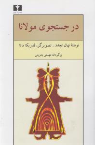 در جستجوی مولانا