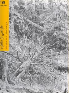 طراحی از منظره