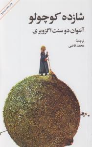 شازده کوچولو