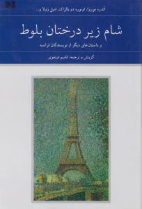 شام زیر درختان بلوط (2 جلدی)