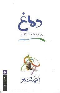 دماغ