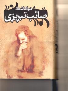 دیوان صائب تبریزی 2جلدی