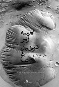 پرسه زیر درختان تاغ