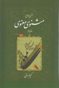 شرح جامع مثنوی معنوی (جلد2)