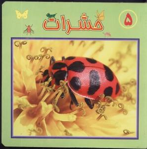 حشرات/چشم قلمبه