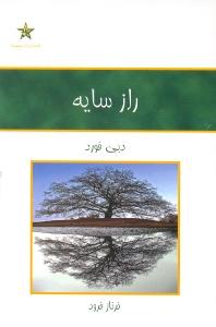 راز سایه: توان سر زندگی با تعبیری نو از داستان زندگی